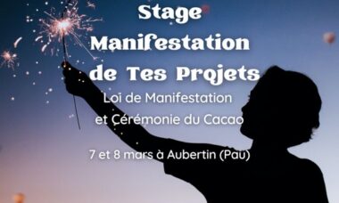Manifestation de tes projets