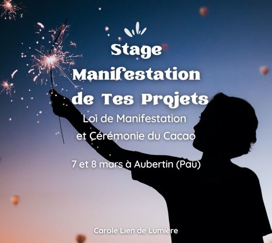 Manifestation de tes projets